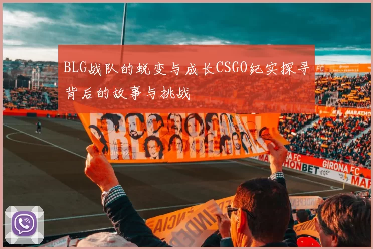 BLG战队的蜕变与成长CSGO纪实探寻背后的故事与挑战