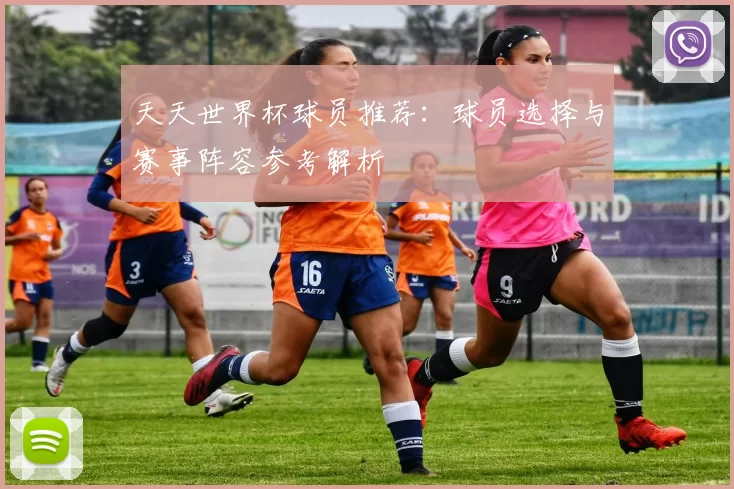天天世界杯球员推荐:球员选择与赛事阵容参考解析