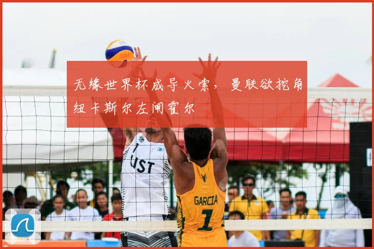 无缘世界杯成导火索，曼联欲挖角纽卡斯尔左闸霍尔