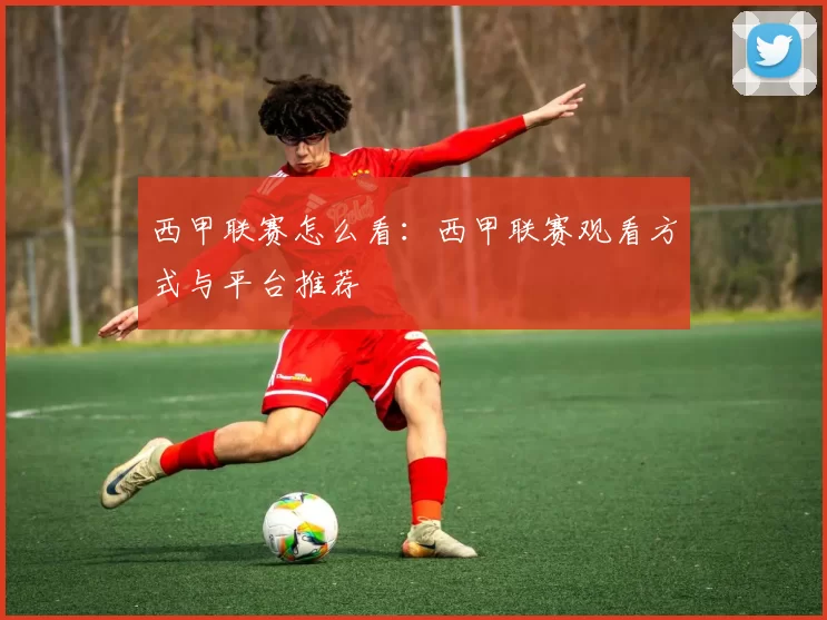 西甲联赛怎么看:西甲联赛观看方式与平台推荐