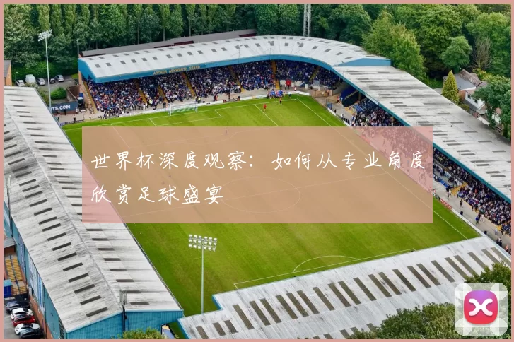 世界杯深度观察：如何从专业角度欣赏足球盛宴