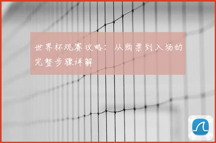 世界杯观赛攻略:从购票到入场的完整步骤详解