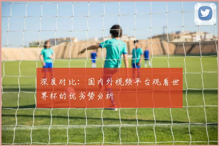 深度对比:国内外视频平台观看世界杯的优劣势分析