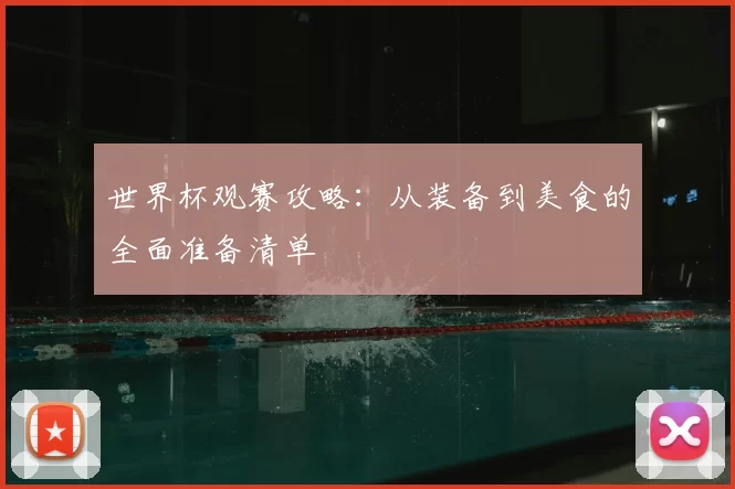 世界杯观赛攻略:从装备到美食的全面准备清单