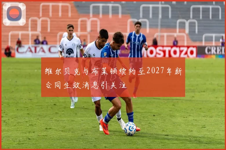 维尔贝克与布莱顿续约至2027年新合同生效消息引关注