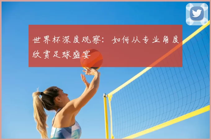 世界杯深度观察：如何从专业角度欣赏足球盛宴