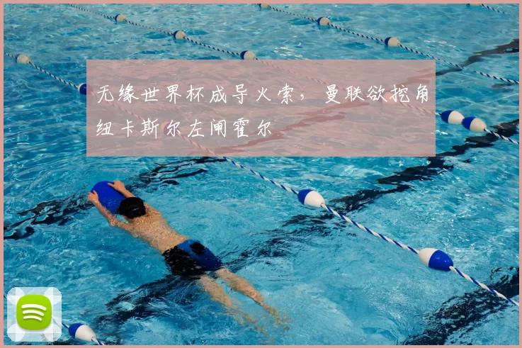 无缘世界杯成导火索，曼联欲挖角纽卡斯尔左闸霍尔
