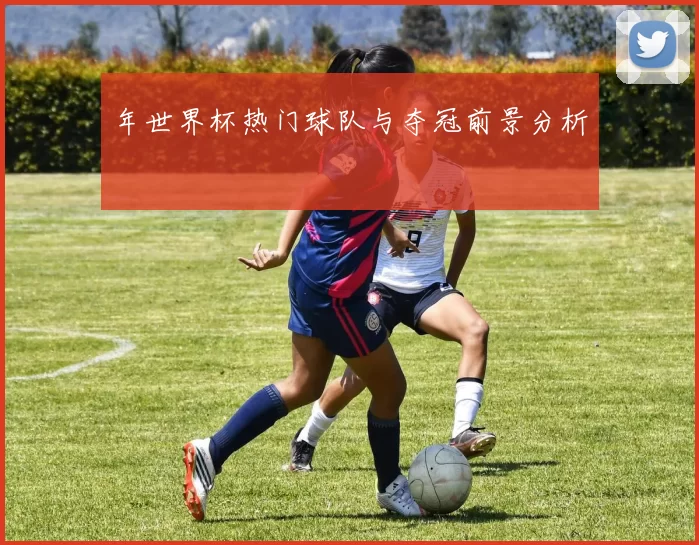 年世界杯热门球队与夺冠前景分析